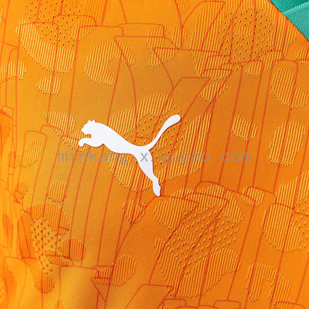 Ivory Coast 2025 Home Player Edition Jersey