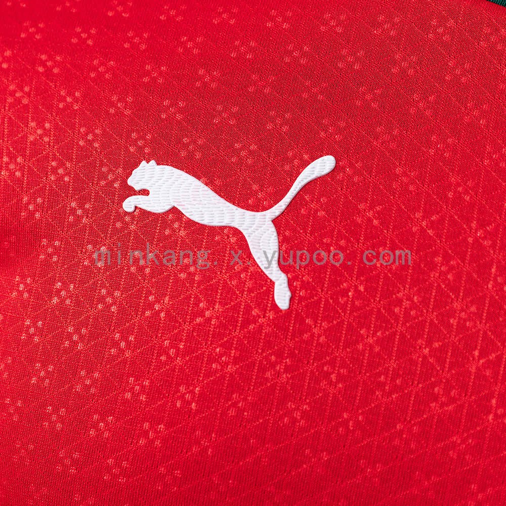 Portugal 2025 Home Long Sleeve Player Edition Jersey