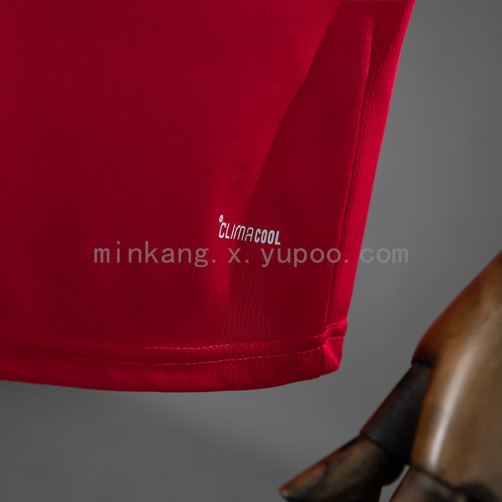 Wales 2026 Home Jersey