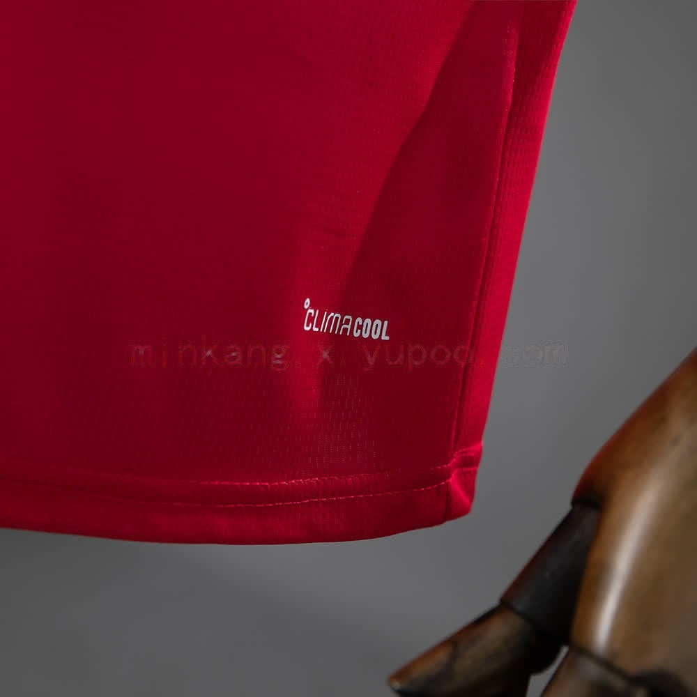 Wales 2026 Home Jersey