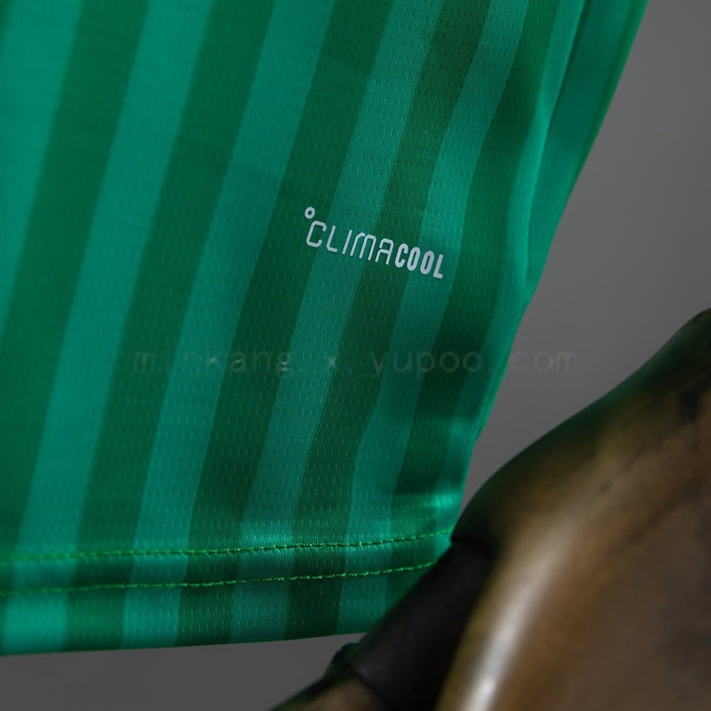 Algeria 2026 Home Jersey