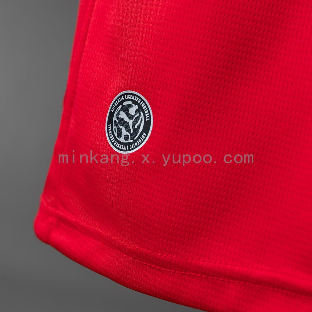 Austria 2026 Home Jersey