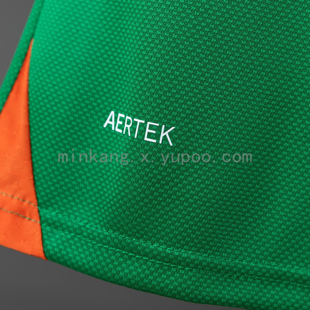 Ireland 25/26 Home Player Edition Jersey