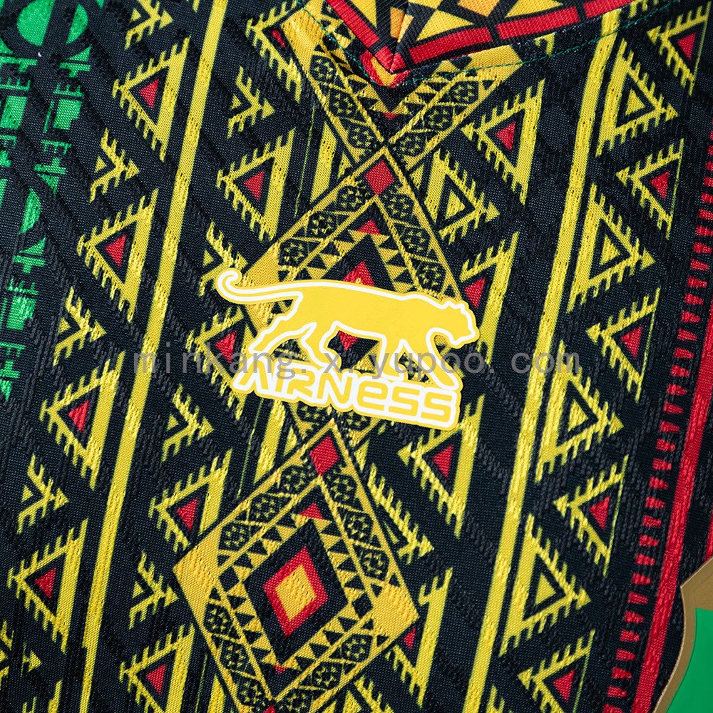 Mali 25/26 Black Player Edition Jersey