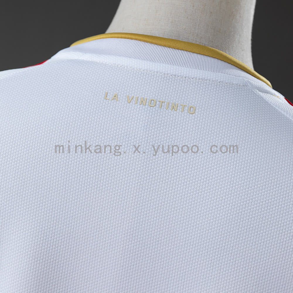 Venezuela 2026 Away Jersey