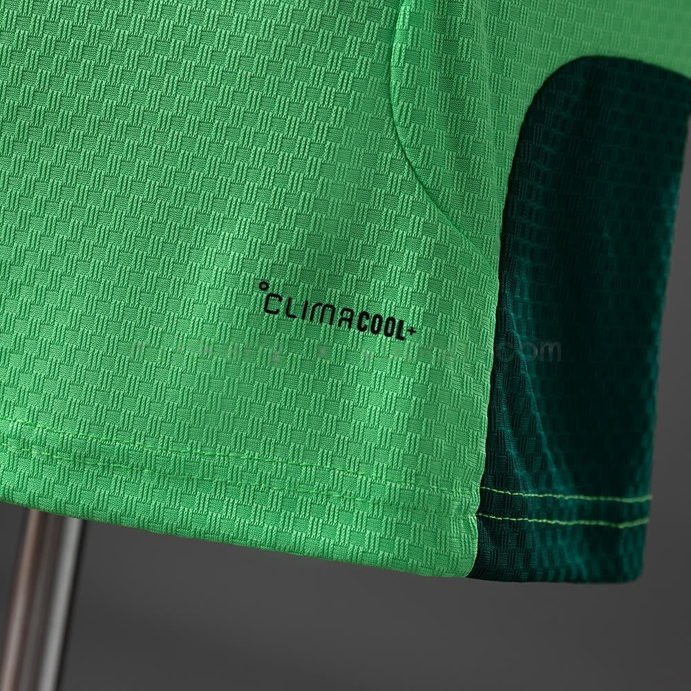 Mexico 2026 Player Edition Training Jersey - Green