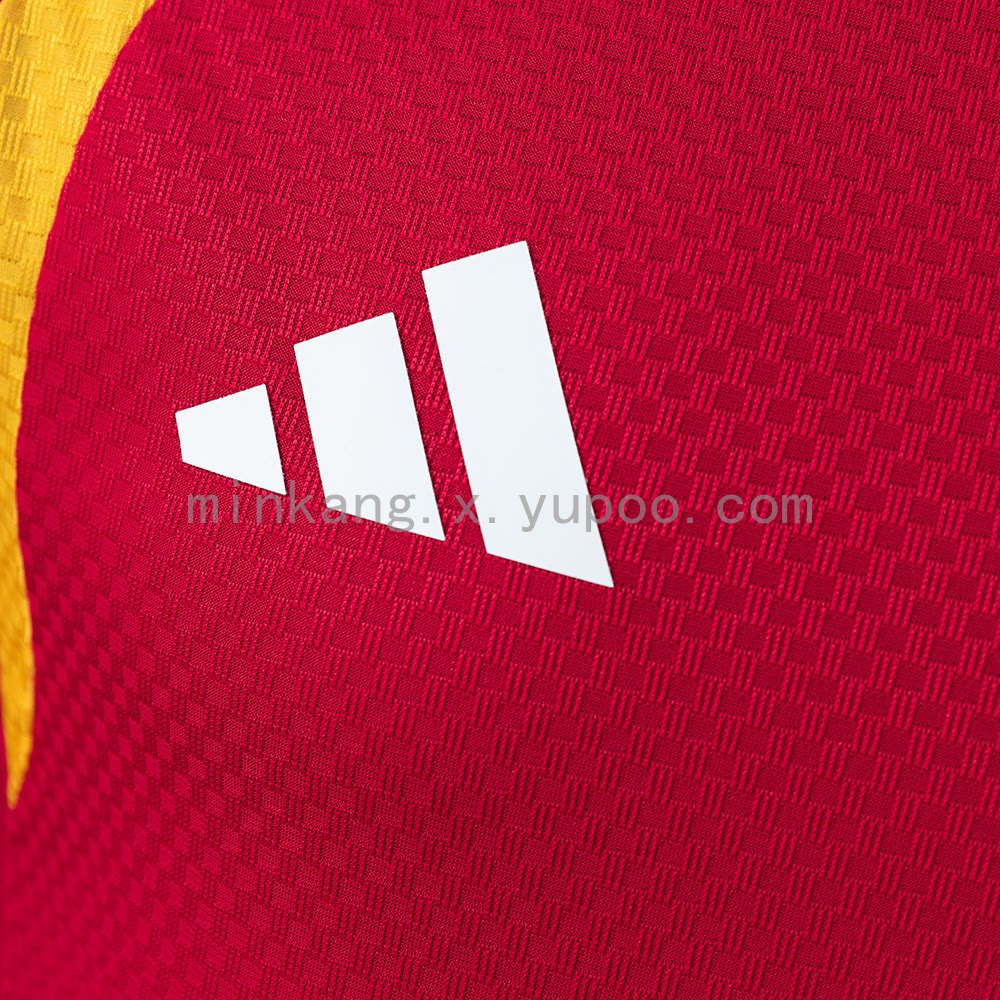 Germany 2026 OG Player Edition Training Jersey - White